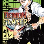 Demon Slayer Vol. 17 - IVREA Arg