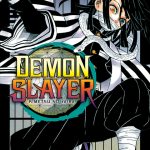 Demon Slayer Vol. 19 - IVREA Arg
