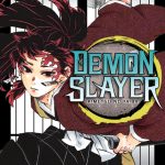 Demon Slayer Vol. 20 - IVREA Arg